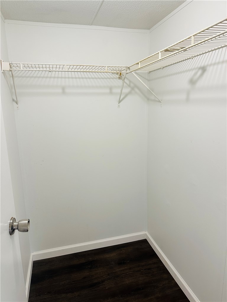 134 Arabian Way Anderson, SC 29626 - Photo 20 of 23 This ample walk-in closet features convenient shelving and durable flooring.