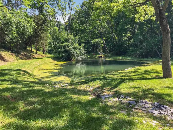 a view of a lake with a yard