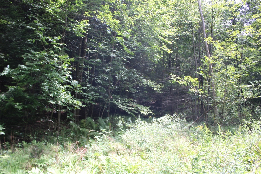 0 North County Road Leyden, MA 01337 - Photo 7 of 8