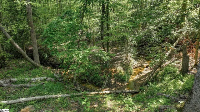 $118,000 | 0 Ridge Point Road, Easley, SC 29640