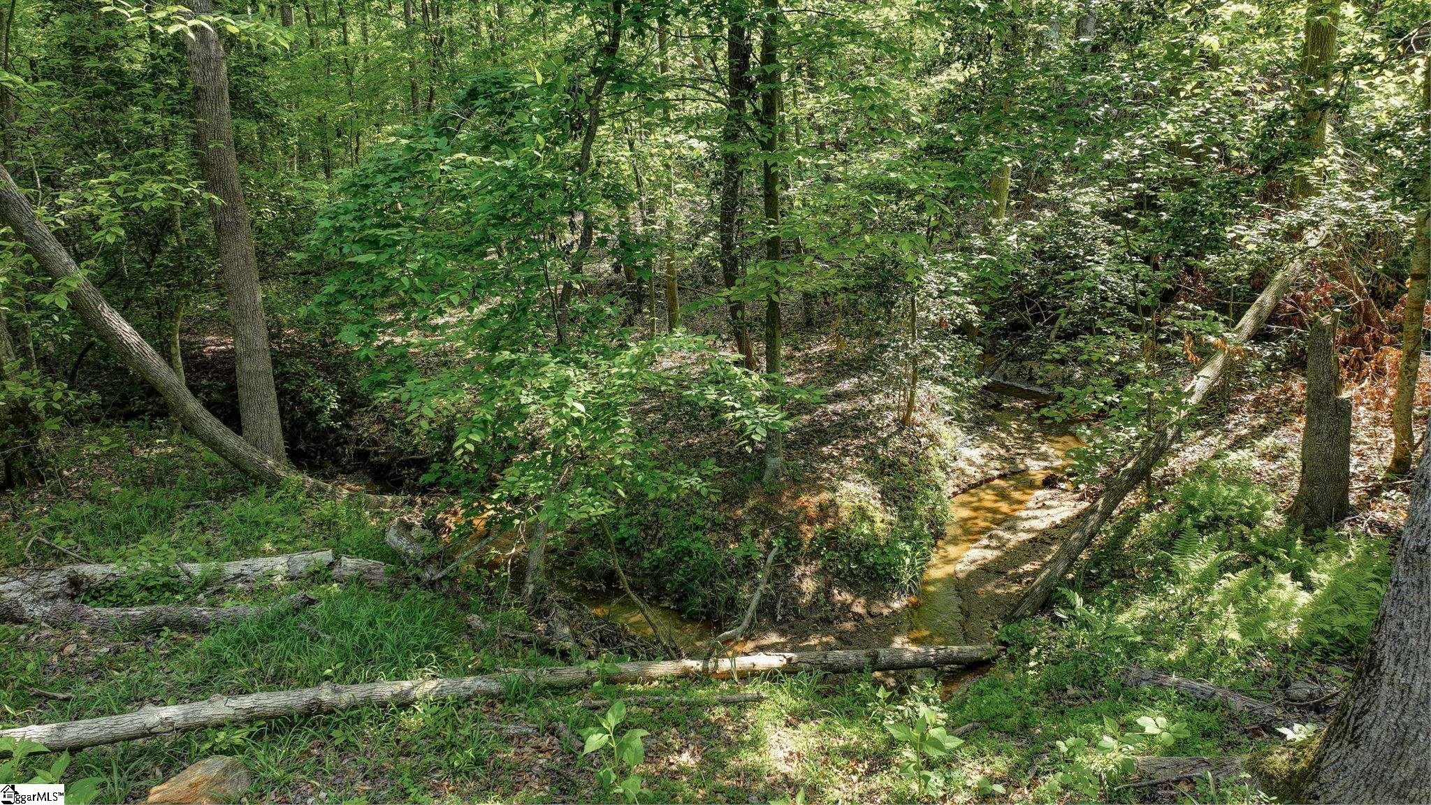 0 Ridge Point Road Easley, SC 29640 - Photo 11 of 17