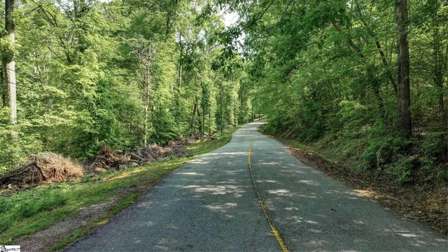 $118,000 | 0 Ridge Point Road, Easley, SC 29640
