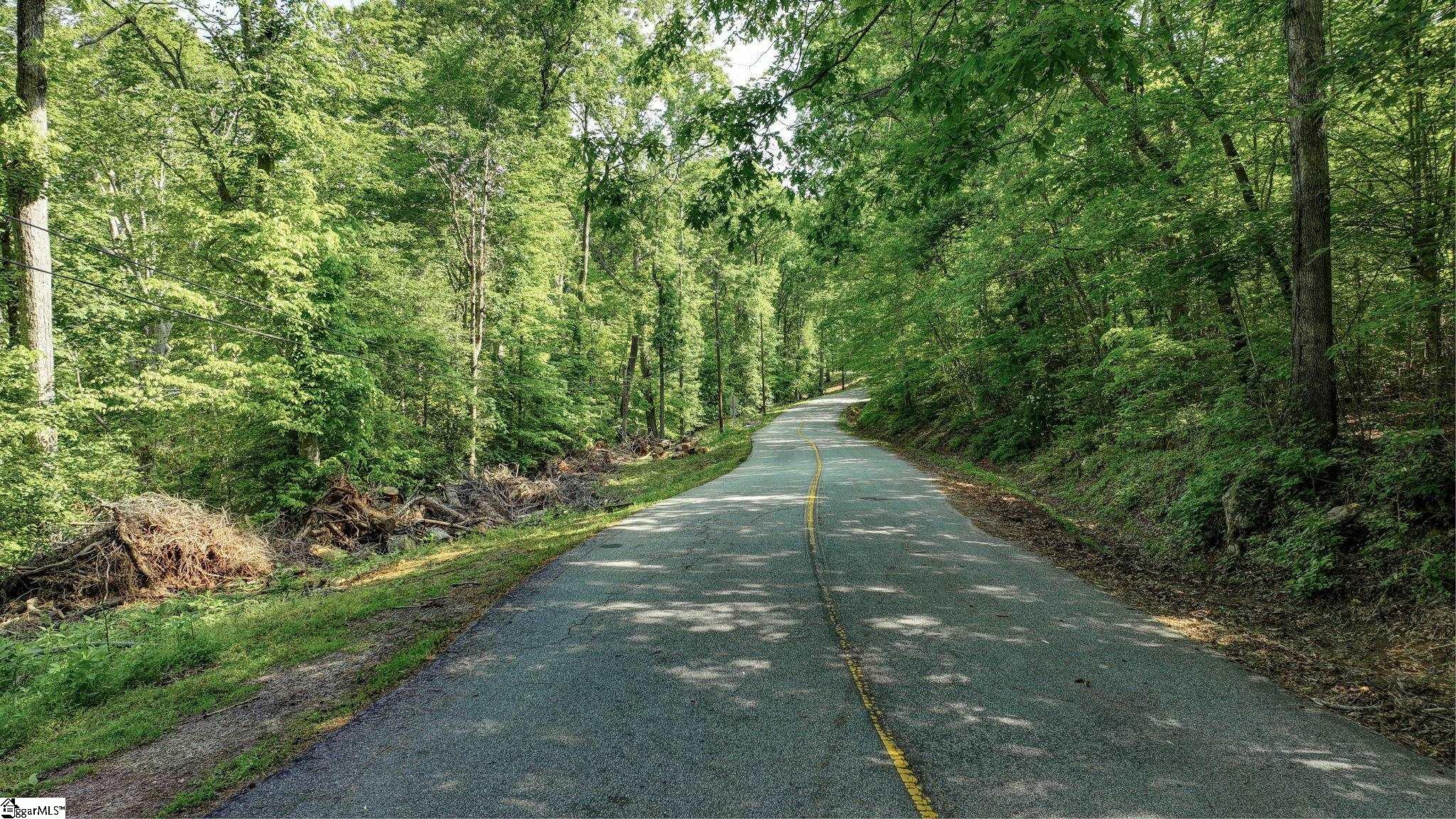 0 Ridge Point Road Easley, SC 29640 - Photo 13 of 17