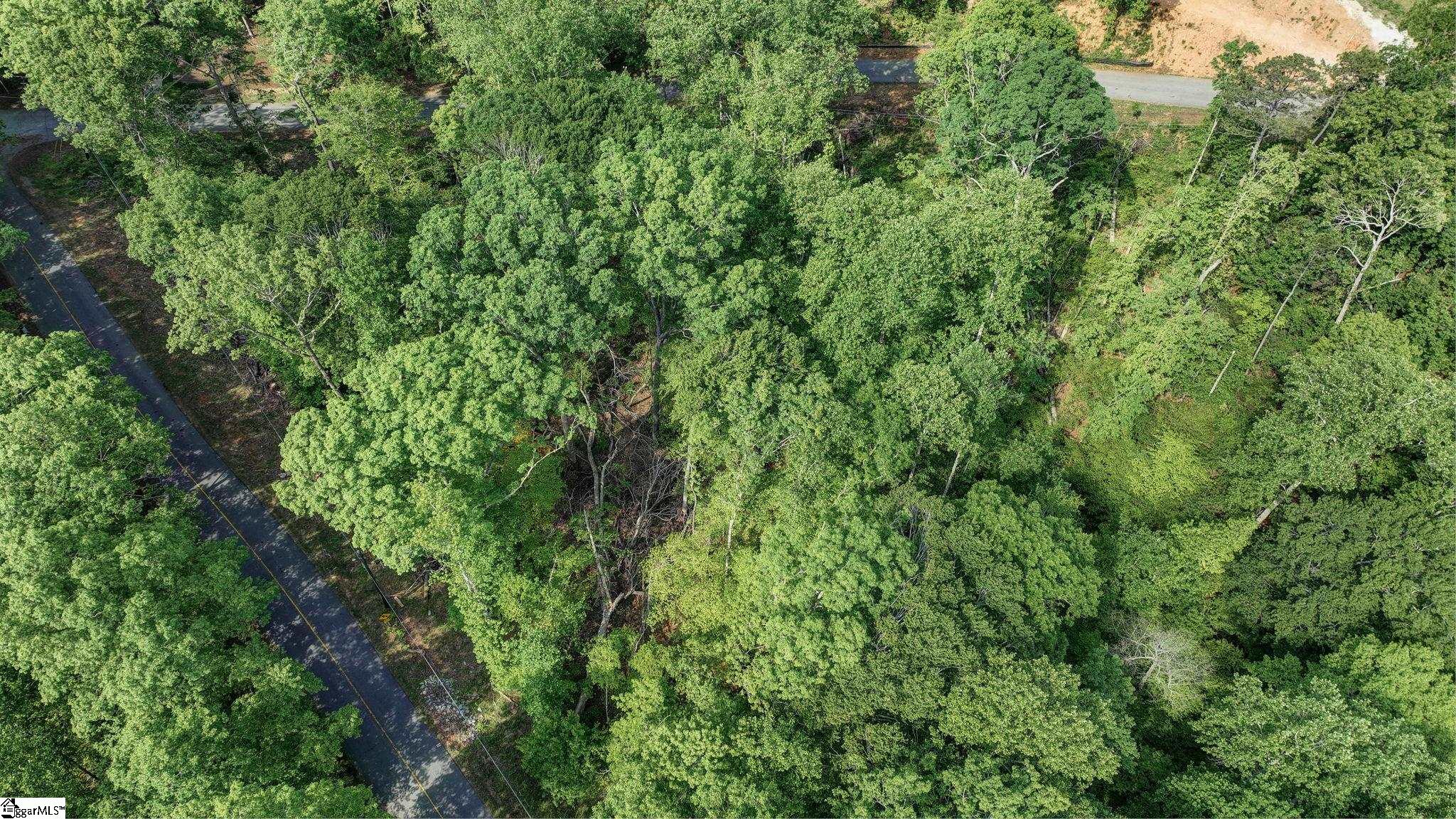 0 Ridge Point Road Easley, SC 29640 - Photo 16 of 17