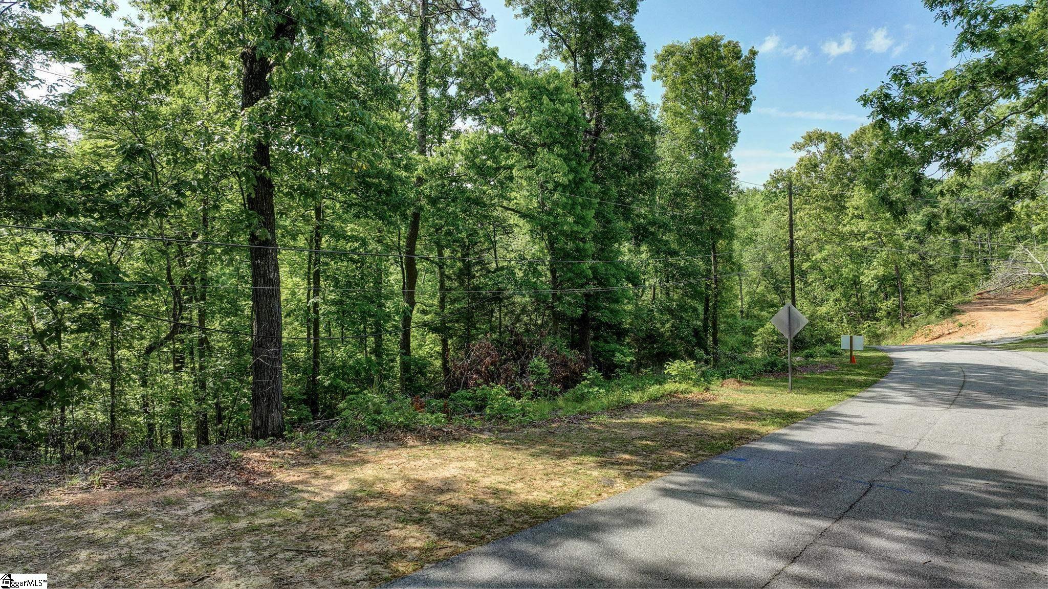 0 Ridge Point Road Easley, SC 29640 - Photo 2 of 17