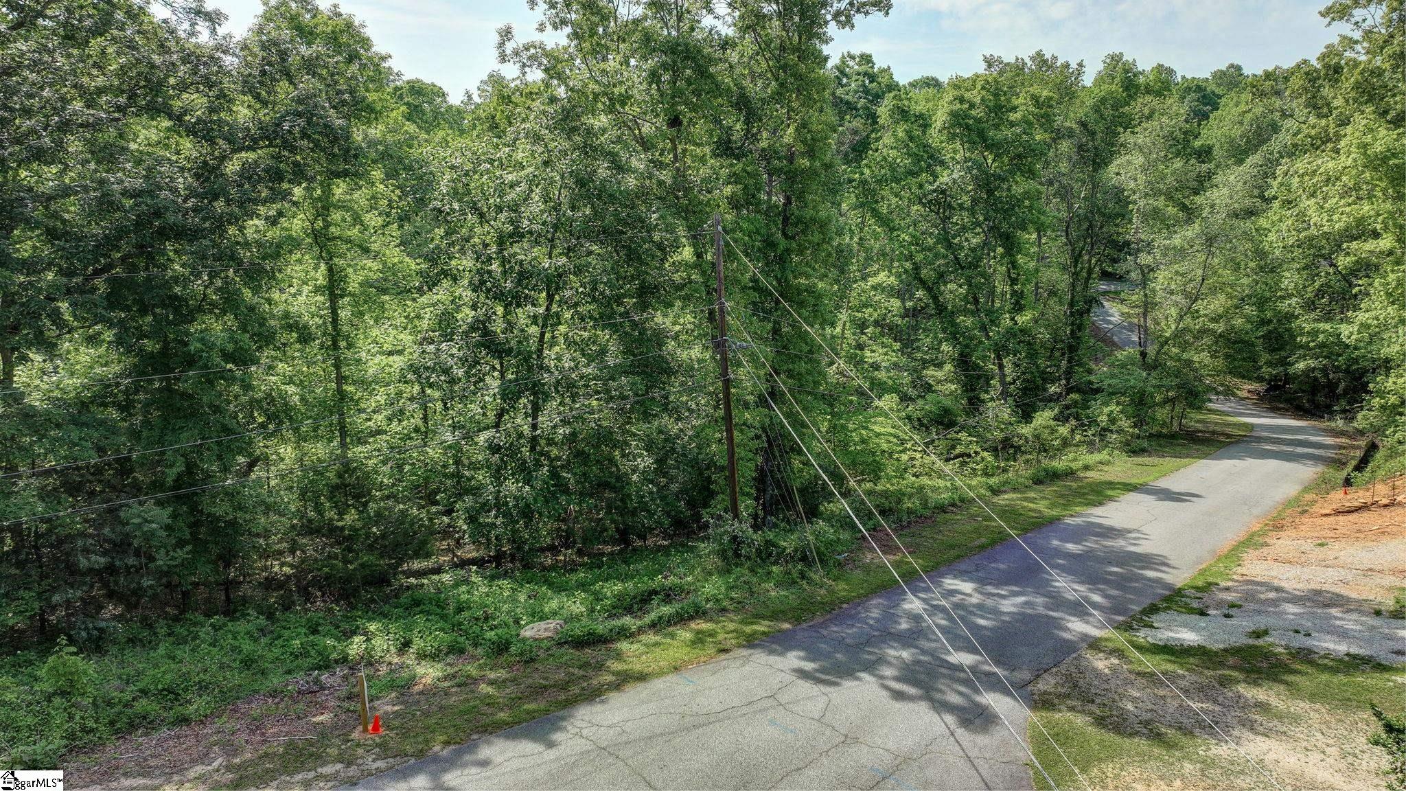 0 Ridge Point Road Easley, SC 29640 - Photo 3 of 17