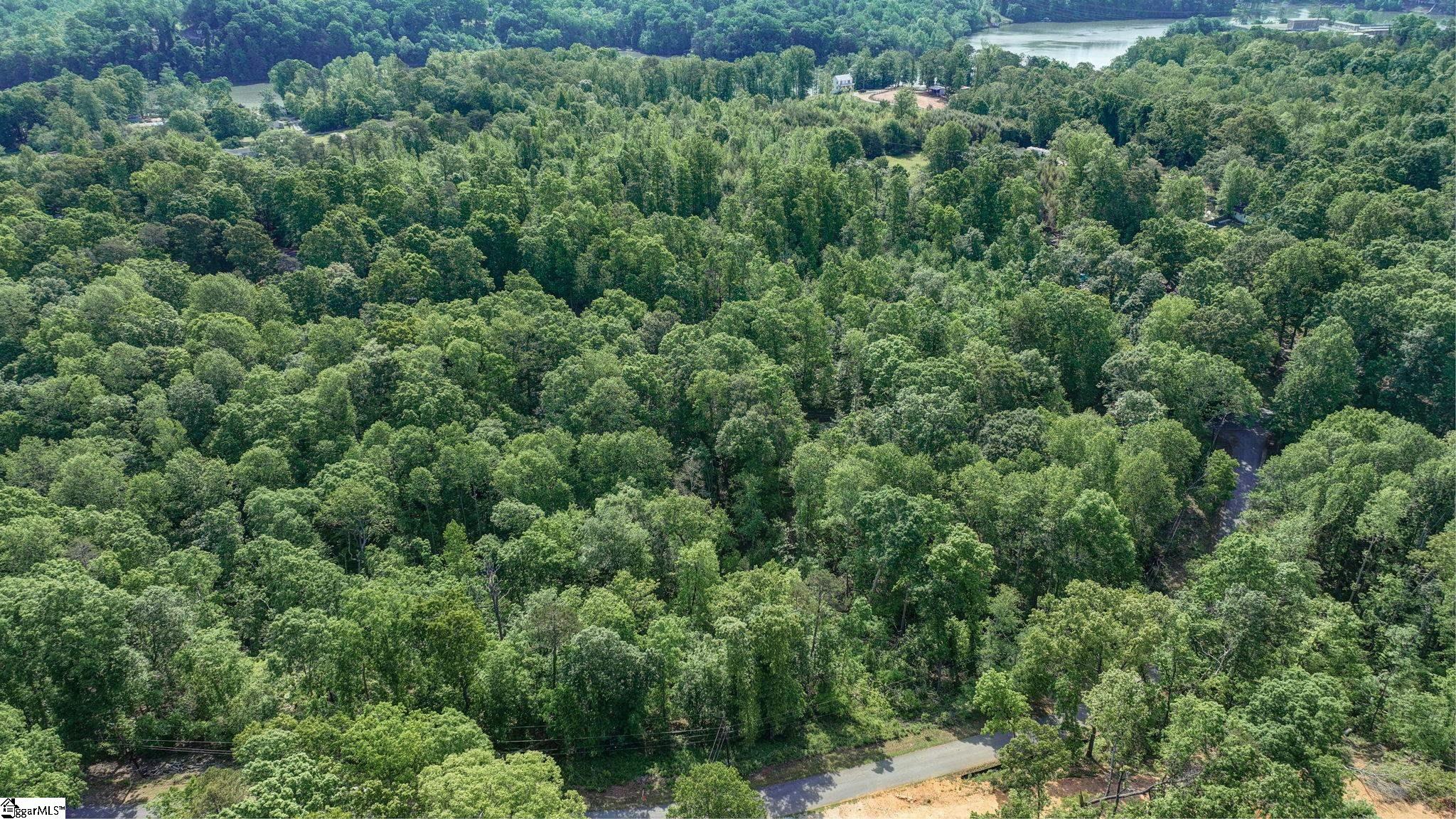 0 Ridge Point Road Easley, SC 29640 - Photo 4 of 17