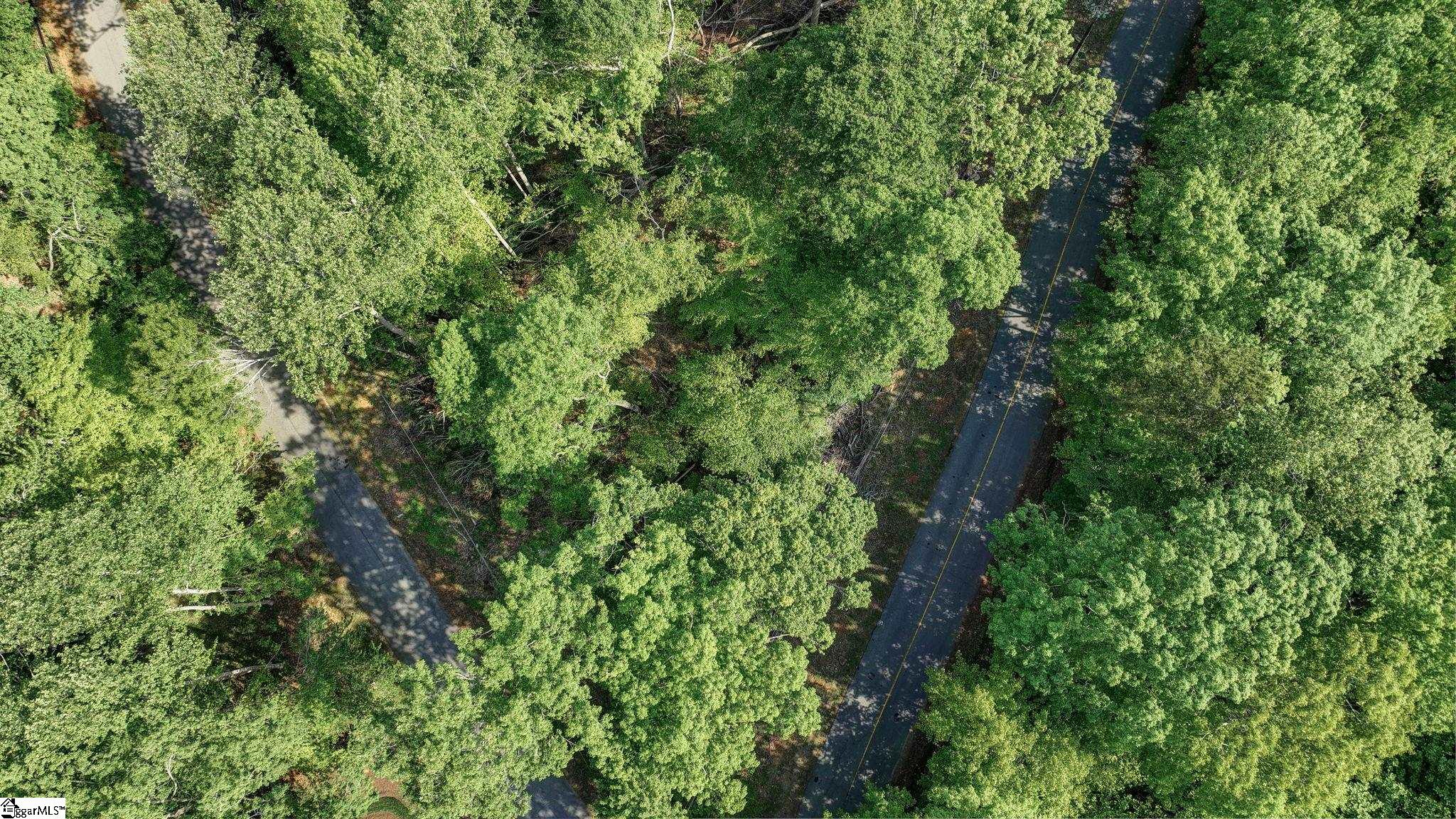 0 Ridge Point Road Easley, SC 29640 - Photo 8 of 17