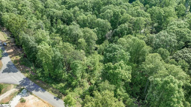 $118,000 | 0 Ridge Point Road, Easley, SC 29640