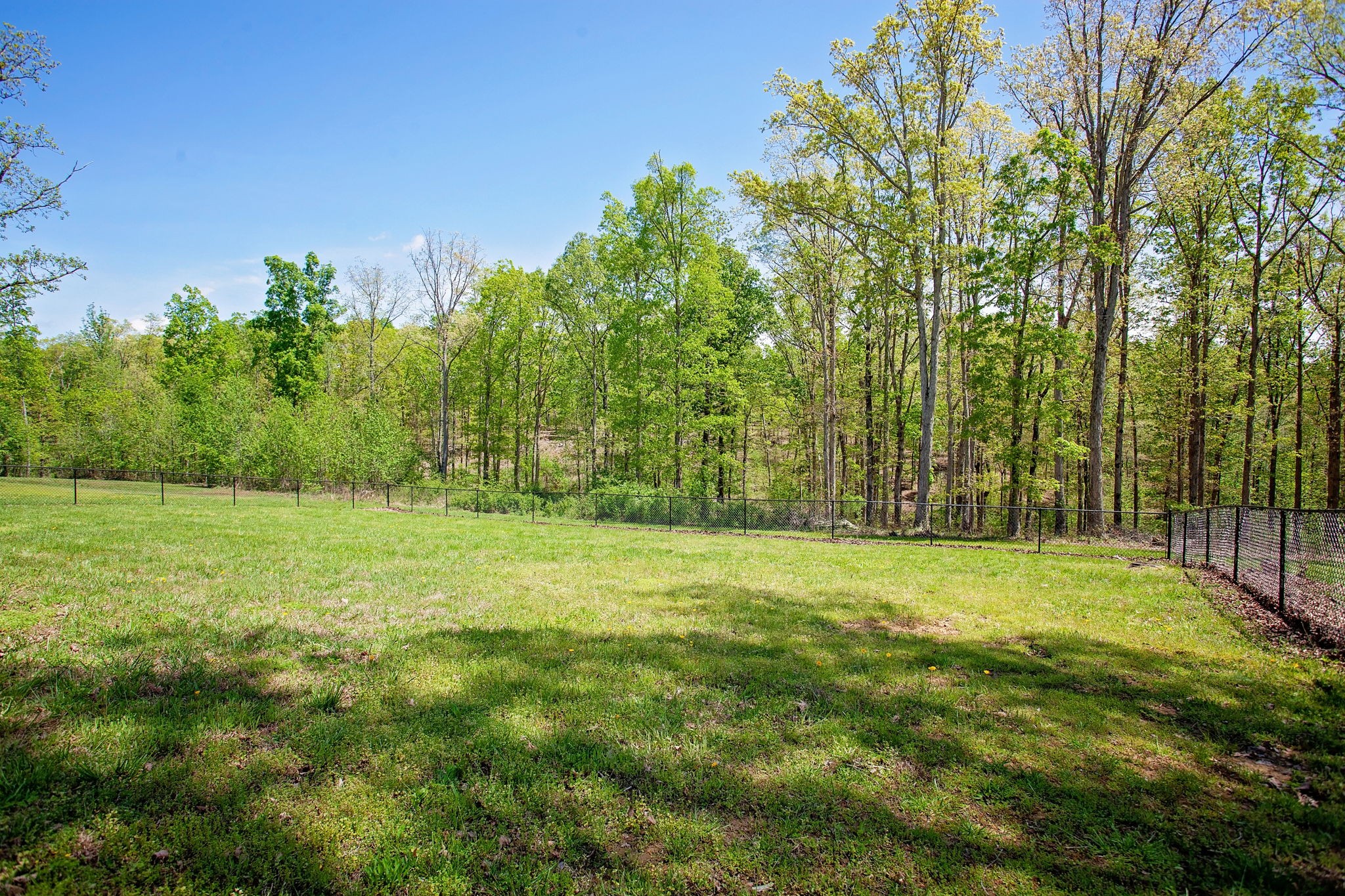 376 Darrell Rye Road Erin, TN 37061 - Photo 21 of 30 Gallery Image 21