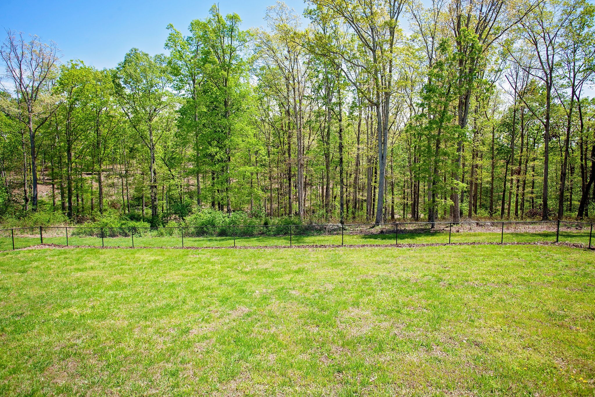 376 Darrell Rye Road Erin, TN 37061 - Photo 25 of 30 Gallery Image 25
