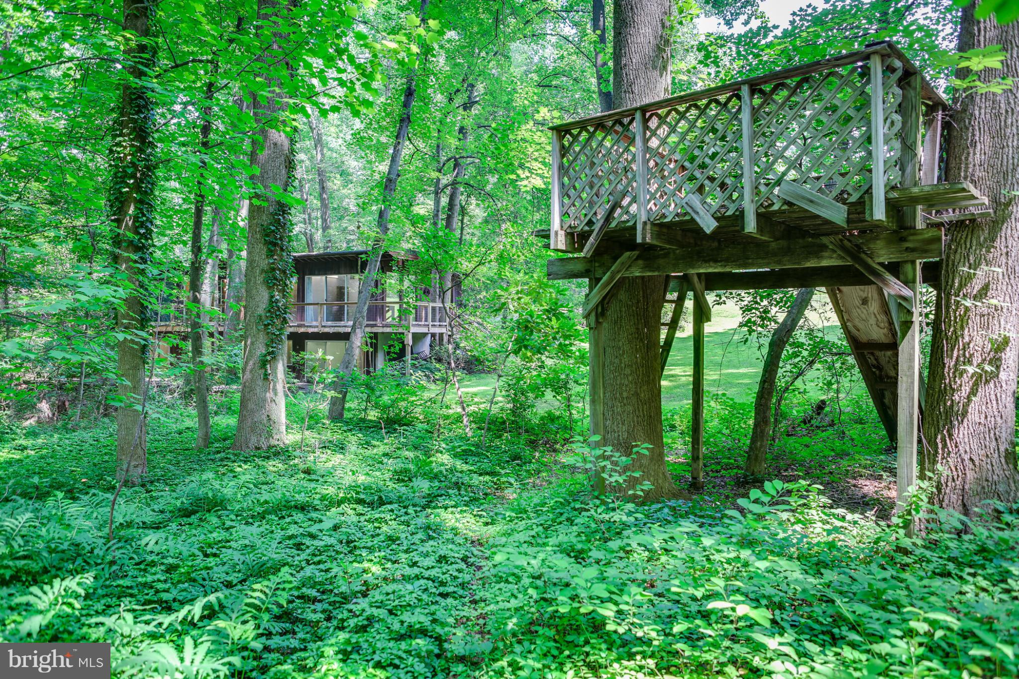 4852 Ten Oaks Road Dayton, MD 21036 - Photo 11 of 19 Tree House