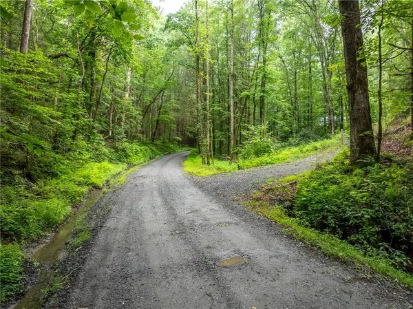 a view of a road with a yard