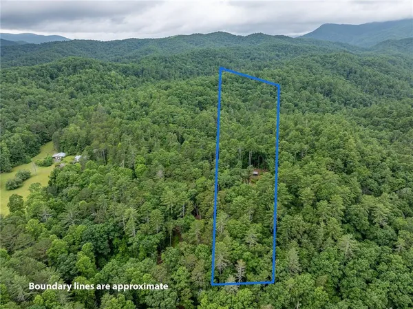 a view of a lush green hillside and a houses
