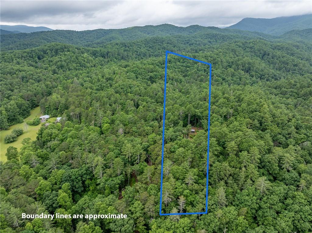 5846 Gates Chapel Road Ellijay, GA 30540 - Photo 11 of 17