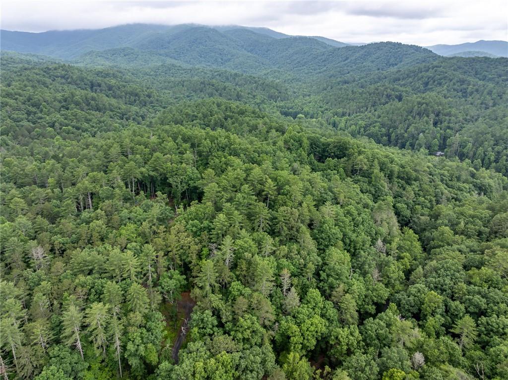 5846 Gates Chapel Road Ellijay, GA 30540 - Photo 14 of 17