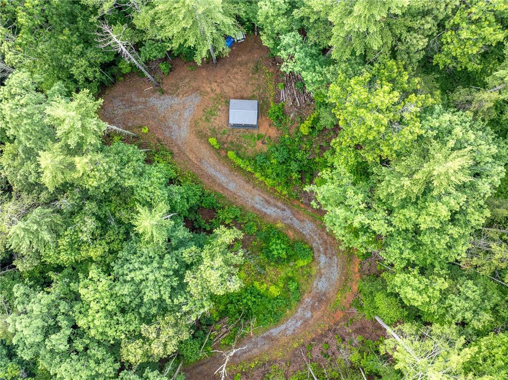 5846 Gates Chapel Road Ellijay, GA 30540 - Photo 15 of 17