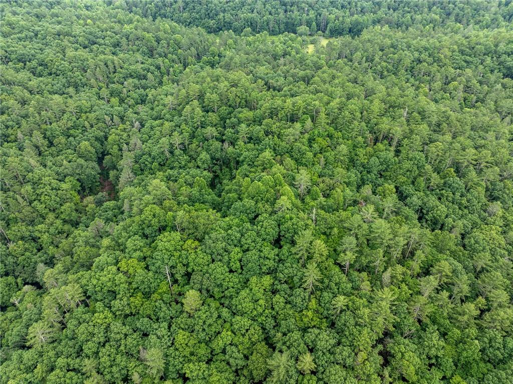 5846 Gates Chapel Road Ellijay, GA 30540 - Photo 17 of 17