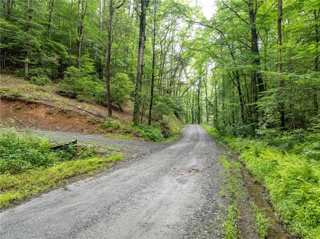 5846 Gates Chapel Road Ellijay, GA 30540 - Photo 2 of 17