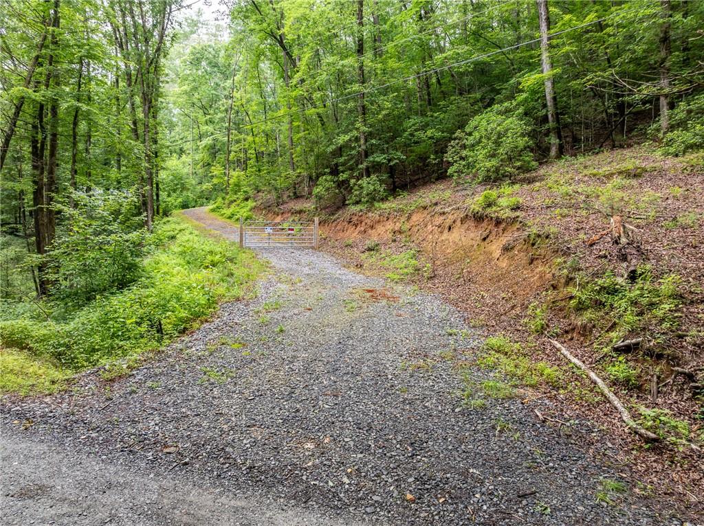 5846 Gates Chapel Road Ellijay, GA 30540 - Photo 3 of 17