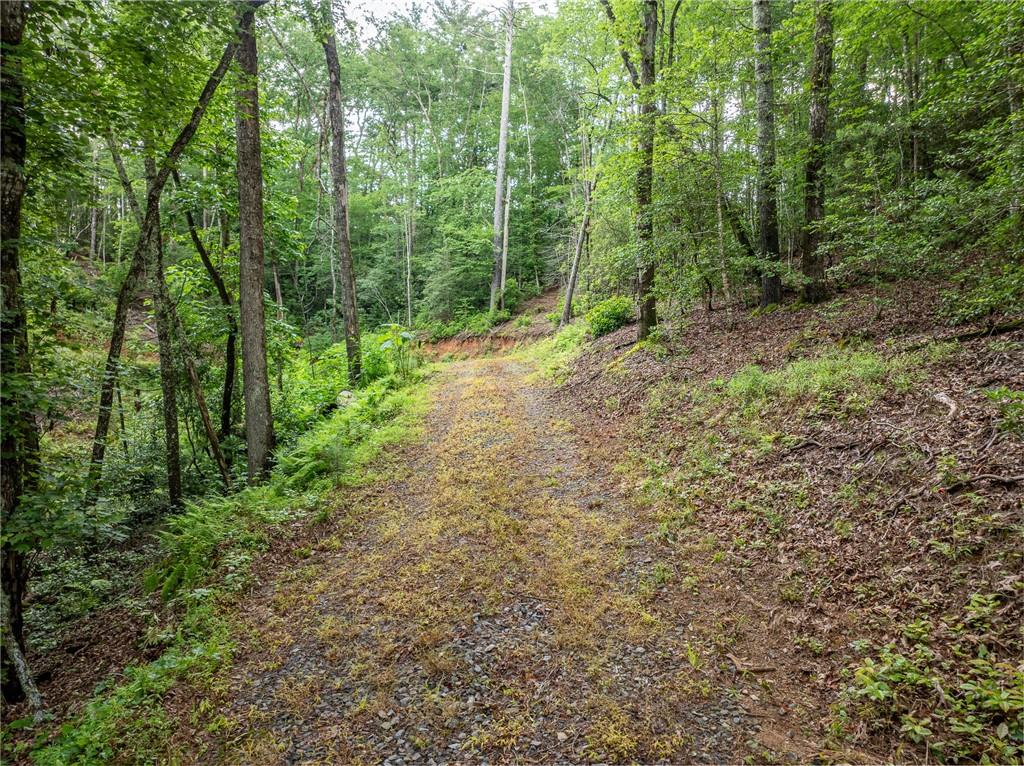 5846 Gates Chapel Road Ellijay, GA 30540 - Photo 6 of 17