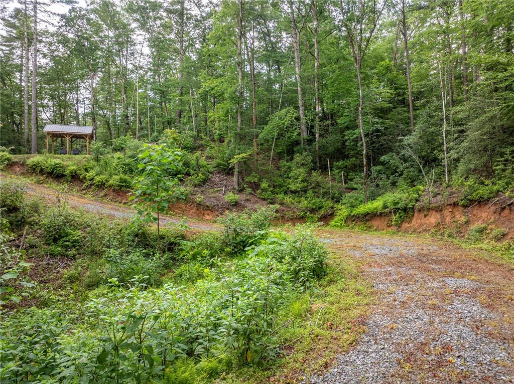 5846 Gates Chapel Road Ellijay, GA 30540 - Photo 7 of 17