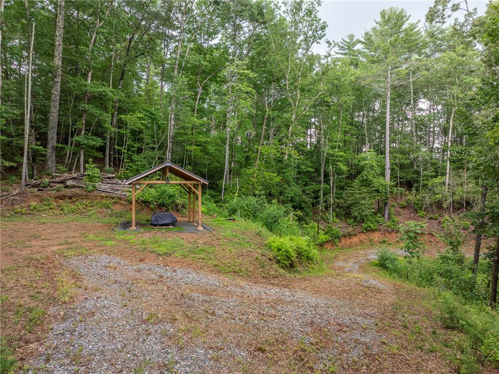 5846 Gates Chapel Road Ellijay, GA 30540 - Photo 9 of 17