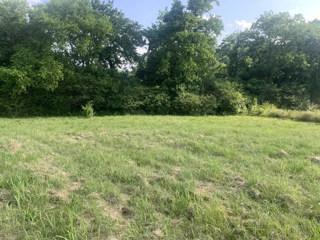 a view of an outdoor space and a yard