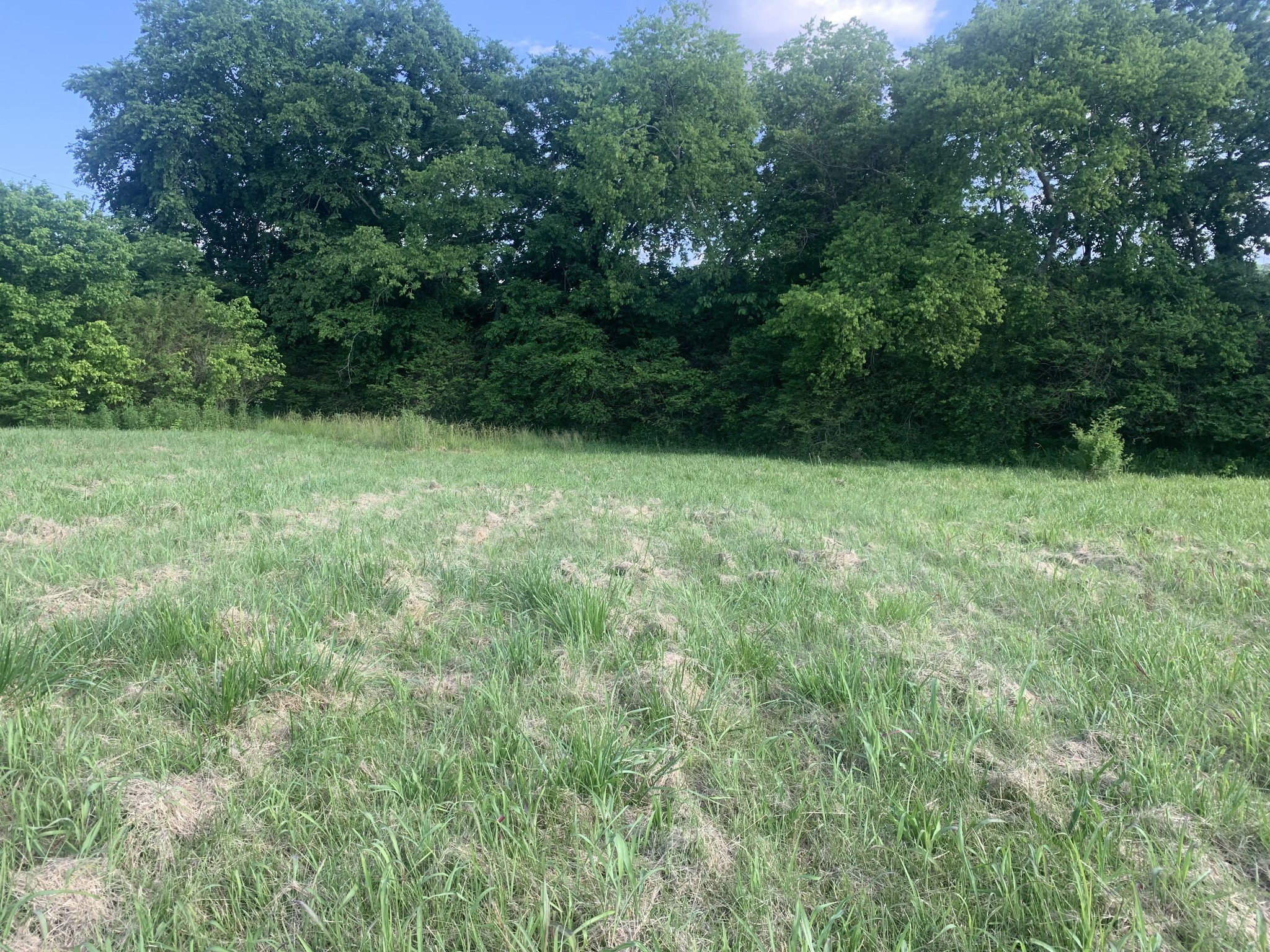 0 Johnson Hill Road Mount Pleasant, TN 38474 - Photo 4 of 10 a view of outdoor space and yard