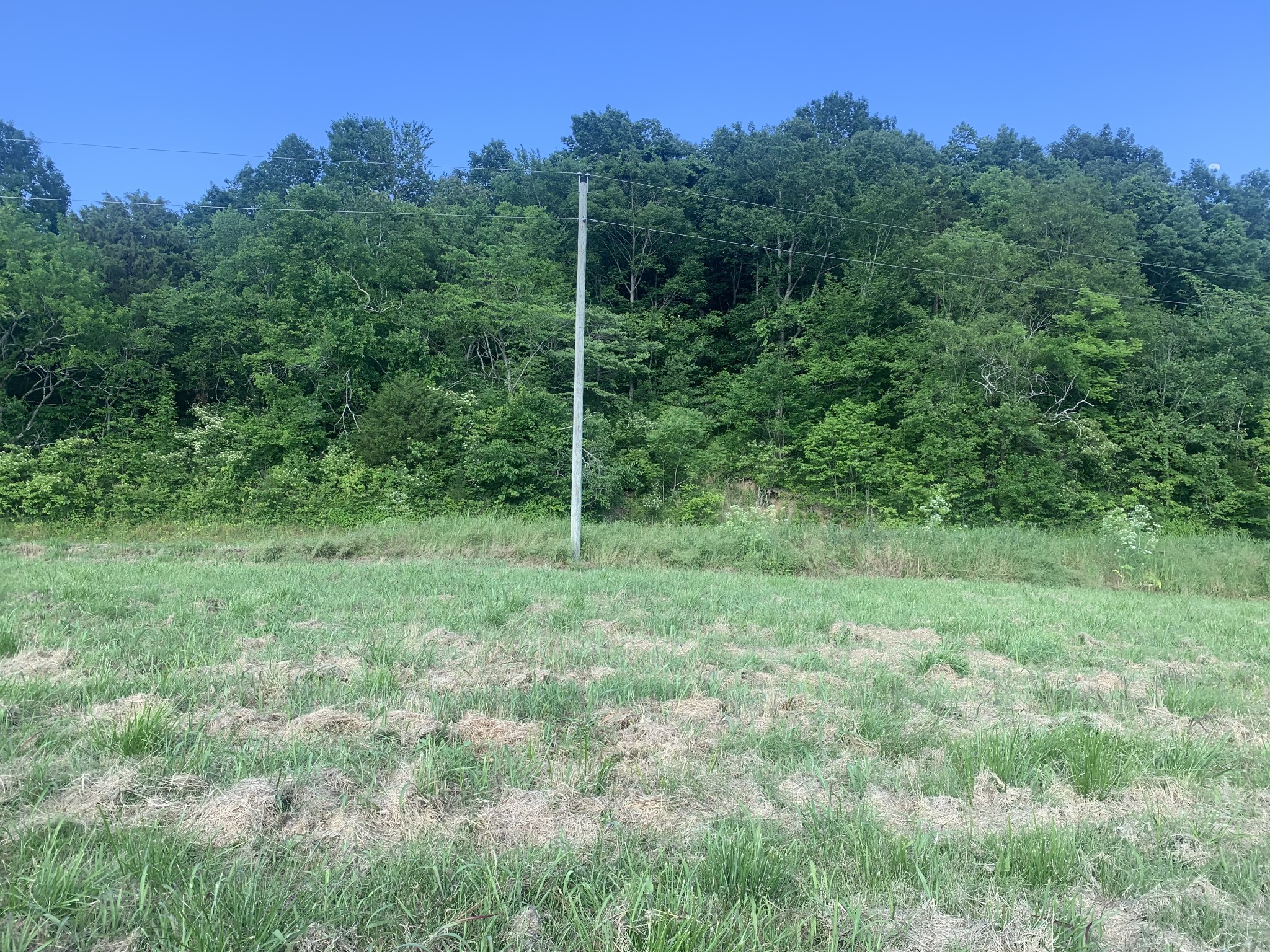 0 Johnson Hill Road Mount Pleasant, TN 38474 - Photo 5 of 10