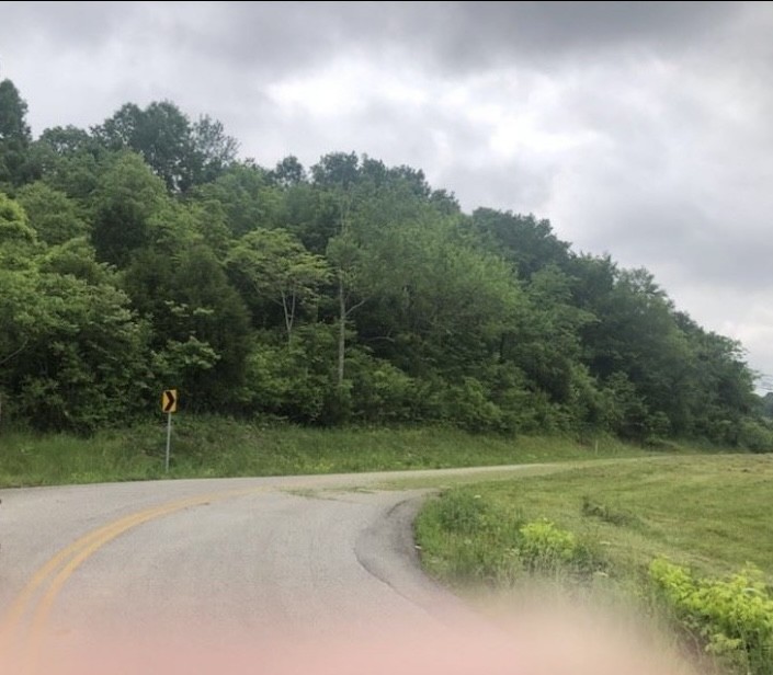 0 Johnson Hill Road Mount Pleasant, TN 38474 - Photo 7 of 10 a view of a field with a tree in the background