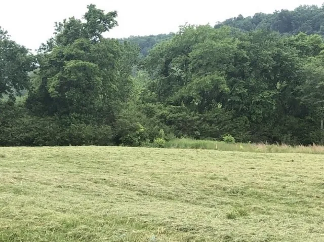 a picture of a book and a table