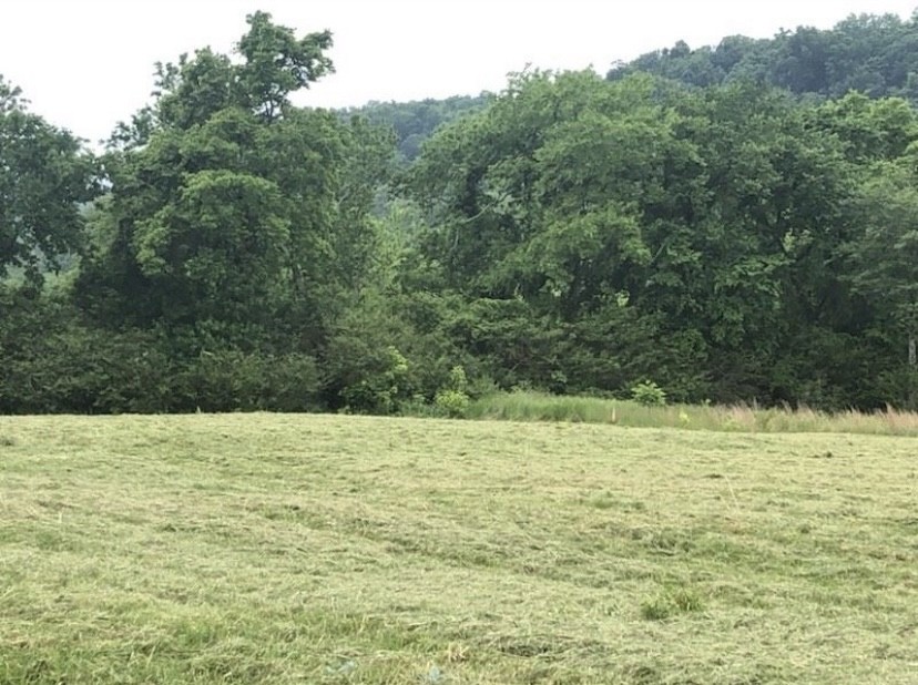 0 Johnson Hill Road Mount Pleasant, TN 38474 - Photo 9 of 10 a view of a lake view