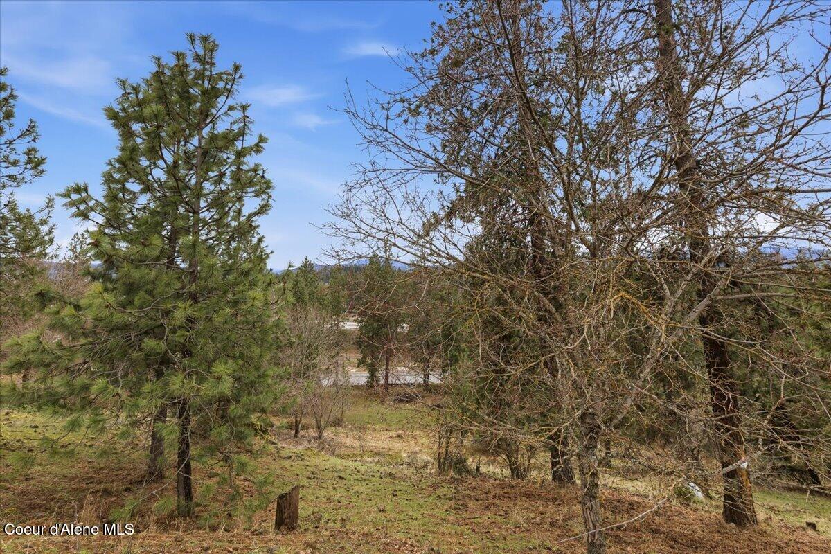 2594 East Fernan Hill Road Coeur D'Alene, ID 83814 - Photo 12 of 21 12-2594 E Fernan Hill Rd_RedHogMedia