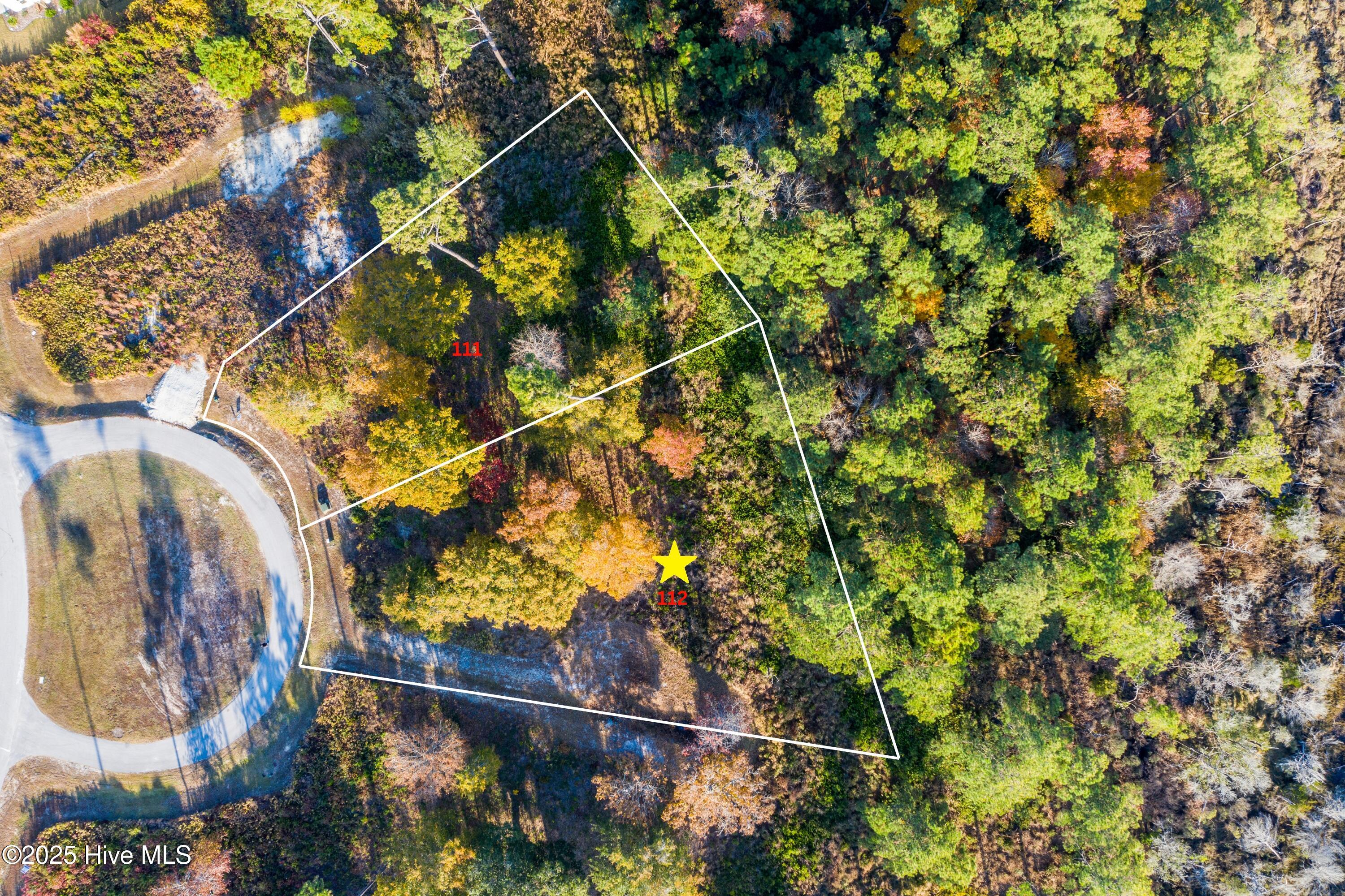 329 Landon Lane Sneads Ferry, NC 28460 - Photo 5 of 27 lot 112