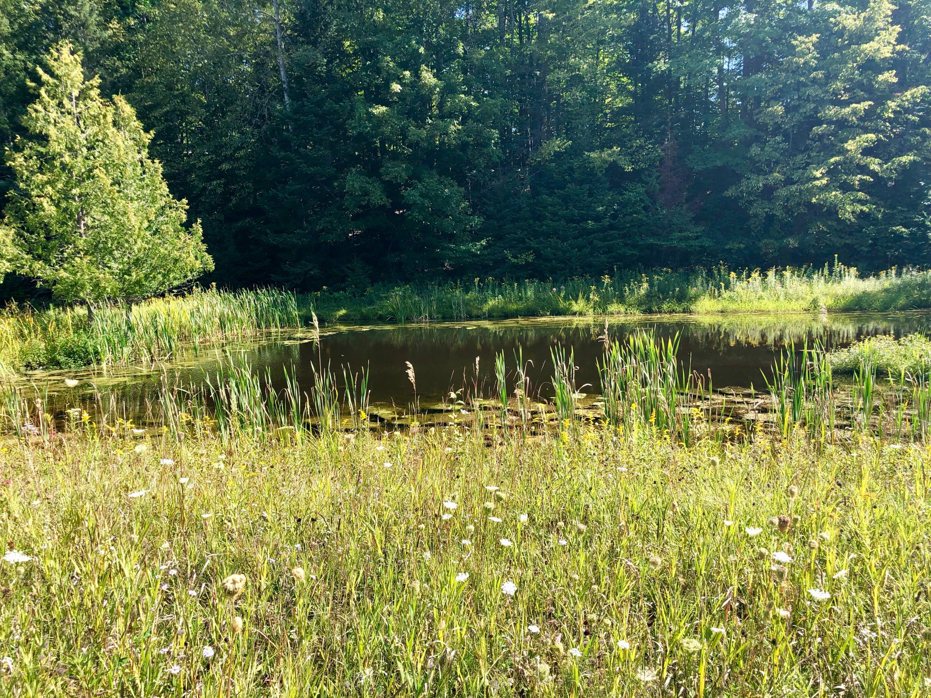 12071 Shire Road Wolverine, MI 49799 - Photo 28 of 30 Gallery Image 28