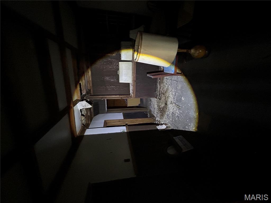 1323 North Taylor Avenue St. Louis, MO 63113 - Photo 9 of 47