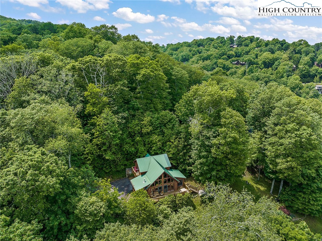 320 Timber Ridge Road Sugar Mountain, NC 28604 - Photo 4 of 30 a view of a tree in a garden