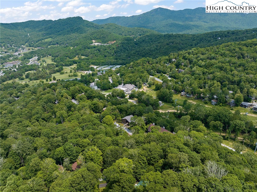 320 Timber Ridge Road Sugar Mountain, NC 28604 - Photo 7 of 30 a view of a green field with lots of trees