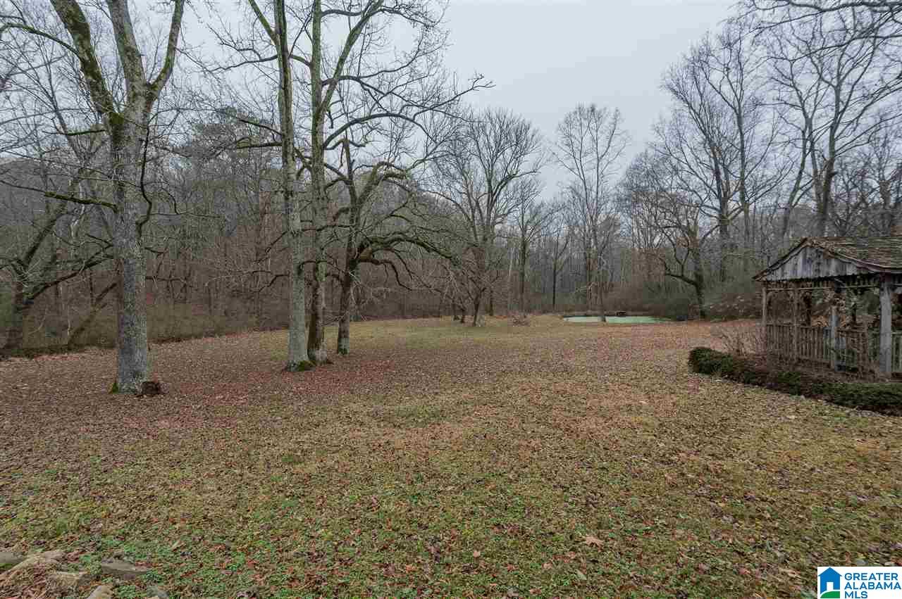 9050 Highway 75 Remlap, AL 35133 - Photo 36 of 38