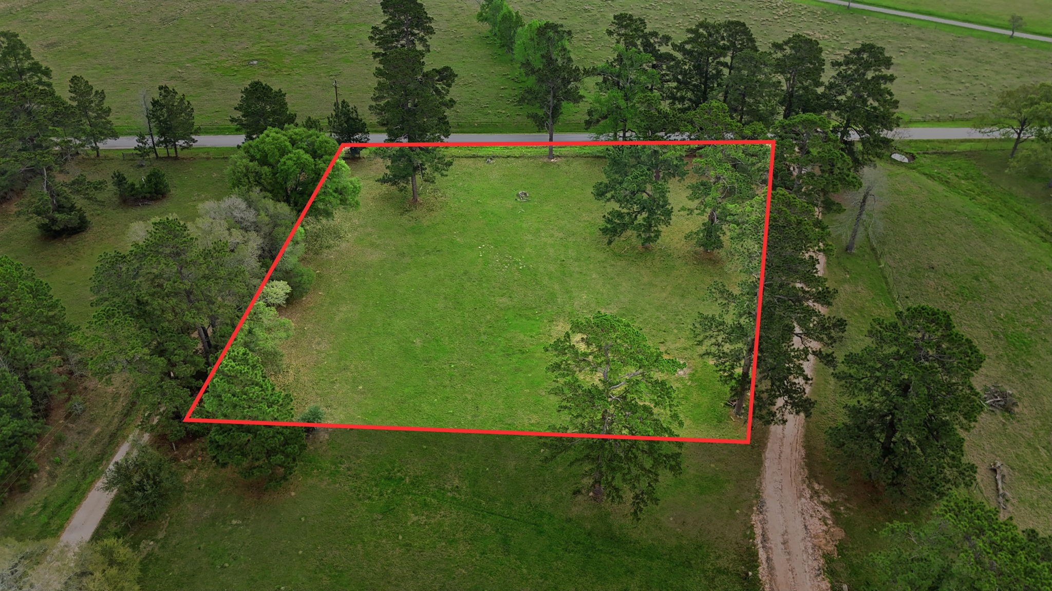 882 Four Notch Road Huntsville, TX 77340 - Photo 19 of 41 Gallery Image 19