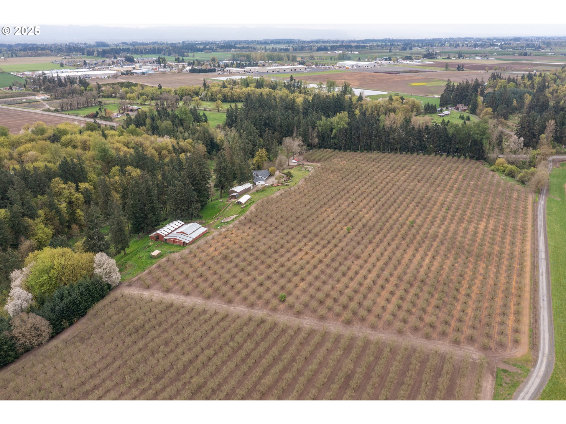 10274 Ehlen Road Northeast Aurora, OR 97002 - Photo 4 of 48