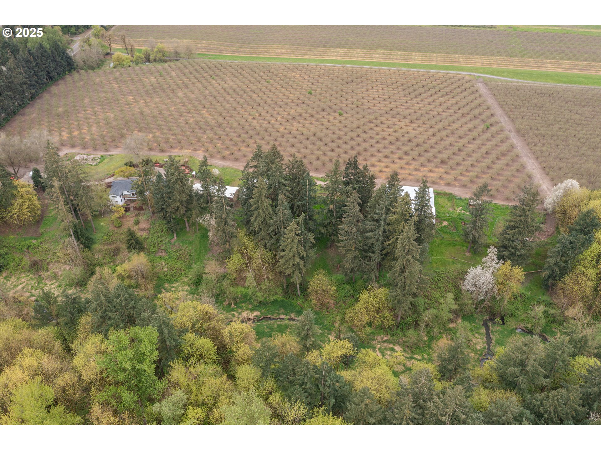 10274 Ehlen Road Northeast Aurora, OR 97002 - Photo 9 of 48