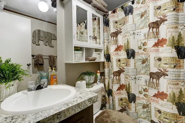 a bathroom with a sink a toilet and shower curtain