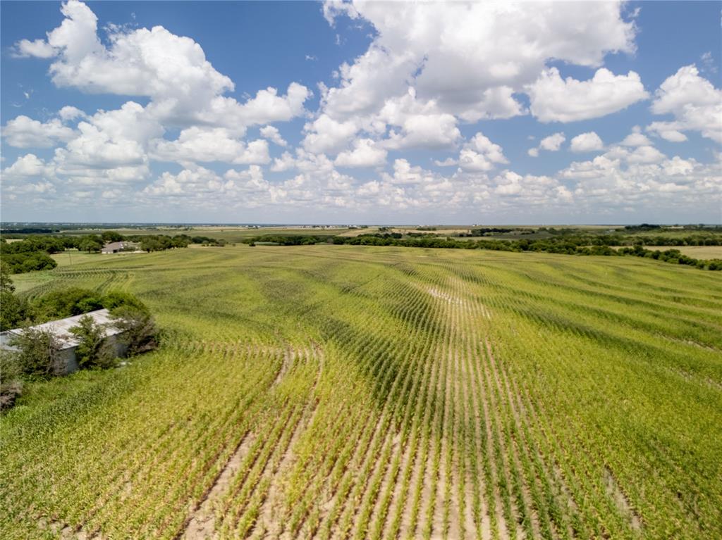 2 County Road Hubbard, TX 76648 - Photo 6 of 16 View of rural area featuring rows of crops