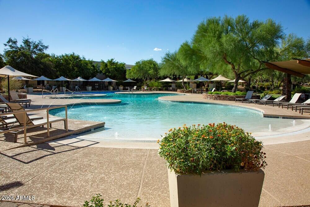3660 East Maffeo Road Phoenix, AZ 85050 - Photo 52 of 68 Community Pool
