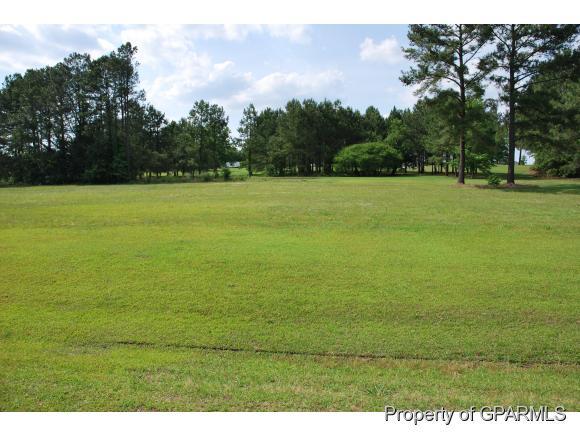11 Beaver Creek Road Deep Run, NC 28525 - Photo 1 of 1 Primary Photo