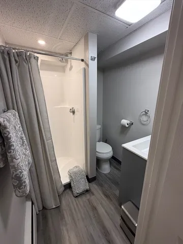 a bathroom with a shower and a toilet