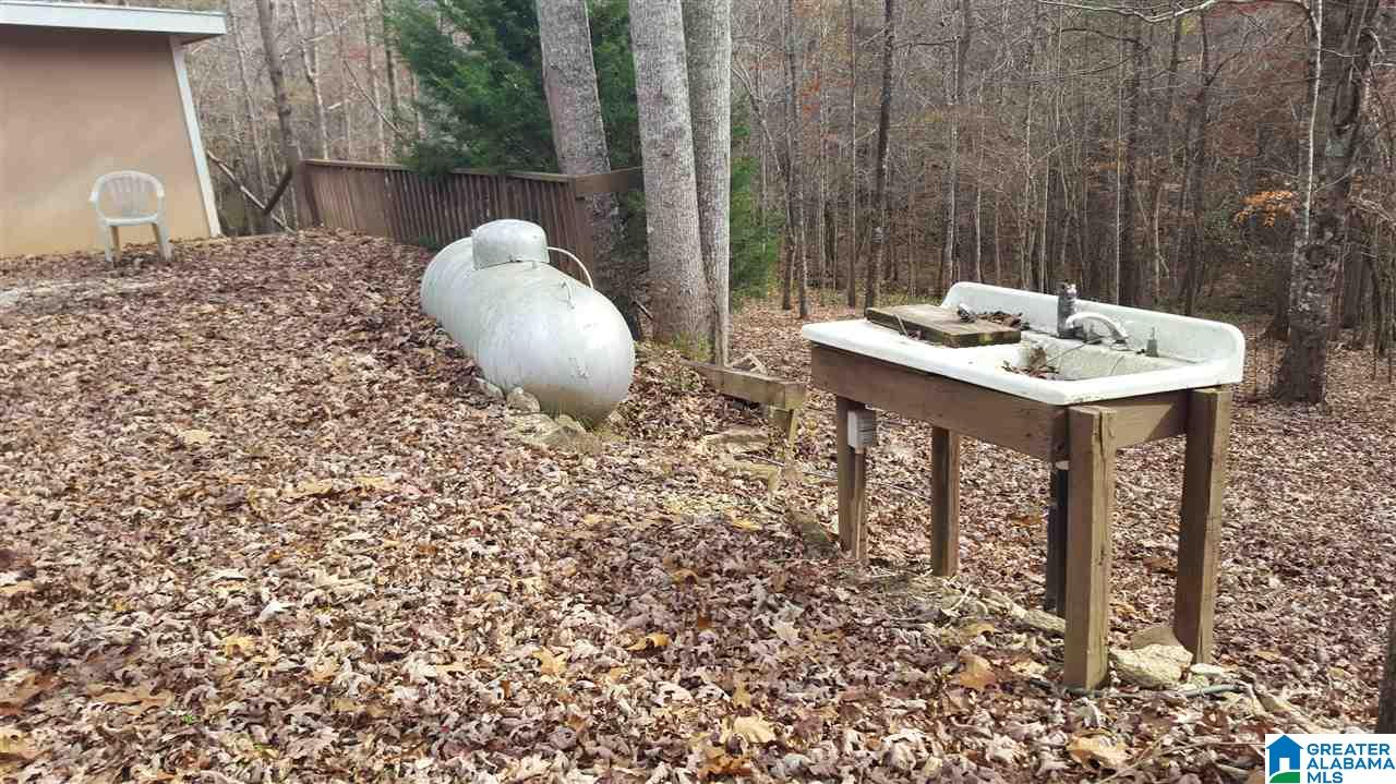 5588 Blakes Ferry Road Lineville, AL 36266 - Photo 14 of 23
