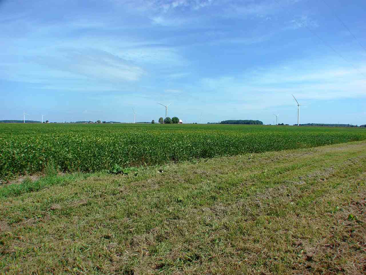 Tbd East Tbd E Washington Road Ithaca, MI 48847 - Photo 5 of 13 1867678-4.JPG